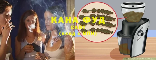 молекула духа Алексеевка