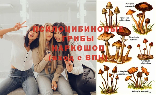 мяу мяу кристалл Алексин